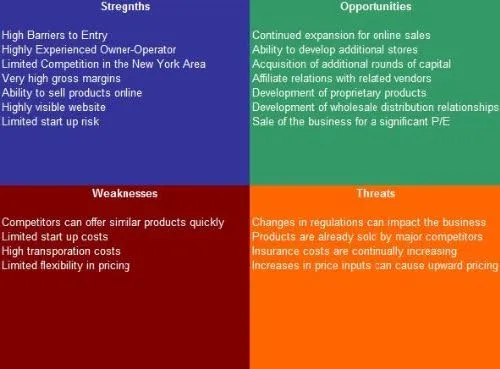 City Bike Rental Service SWOT Analysis Plus Business Plan