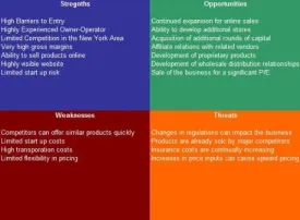 Travel Agency SWOT Analysis Plus Business Plan